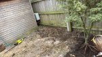 Bushes_removed_clearing_space_for_shed_move_aug_2025