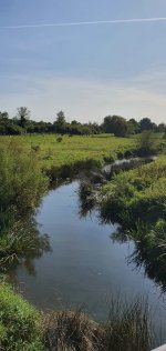 Canal Everards Meadows Walk Sept 2020