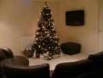 Christmas Tree 2008