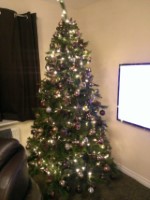 Christmas Tree 2013