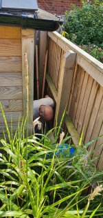 Dad And Ethan Digging Concrete Fence Posts Sept 2020