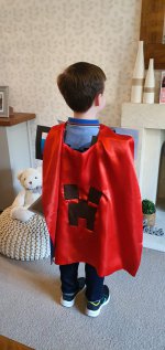 Ethan Back Minecraft Knight Costume May 2021