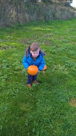 Ethan Pumpkin Picking And Cake Decorating Oct 2018