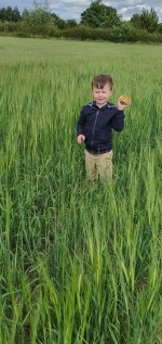 Ethan Rock Walking In The Fields June 2020