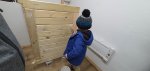 Ethan Varnishing Replacement Front Gate Dec 2020