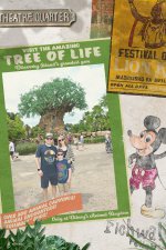 Family Animal Kingdom Poster Day 3 Disney World July 2024