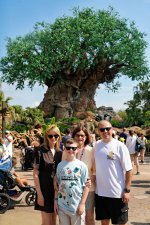 Family Tree Of Life Day 8 Disney World July 2026