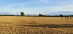 Field Hay Bale Ride Aug 2020