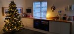 Finished Garage Christmas Tree Dec 2020