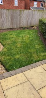 Front First Lawn Mow Mar 2021