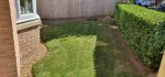 Front Garden Grass Cut Saturday Job Day June 2021