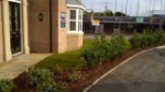Front Garden Progress Willington August 2015