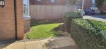 Front Lawn Winter Prep Gardening Sept 2020