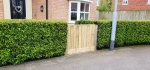 Front New Fence And Gate April 2024