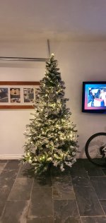 Garage Christmas Tree Dec 2021