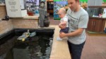 Garden Center July 2016 Ethan And I Fish Pond