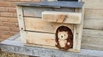 Hazel Hedgehog House Apr 2022