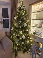 Lounge Christmas Trees And Lights Dec 2024
