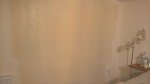 Lounge Painting The Plastered Wall Sept 2018