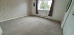 Master New Carpets Aug 2023