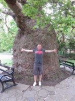 Me Huge Tree Canterbury June 2013