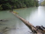 Me Log in the Lake Skagway Canada 2011