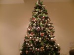 My 1st Christmas Tree