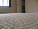 New Carpet