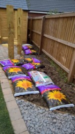 On The Ground 1 Tonne Of Top Soil June 2017
