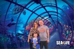 Sea Life Centre Chessington World Of Adventures Thur August 2021