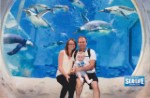 Seas Life Center July 2016 Family Penguins