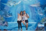 Seas Life Center July 2016 Family Tunnel