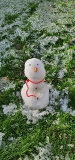 Snowman Mini Show Day Jan 2021