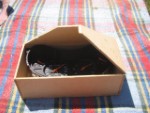 Speedo Box