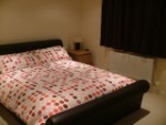 Linea Spotted Bed Sheets