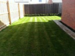 Striped Lawn 1st Cut of 2013