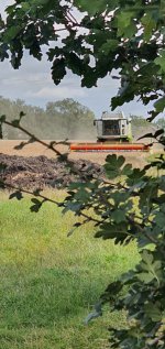 Through The Trees Combine Harvester Bike Ride Aug 2020