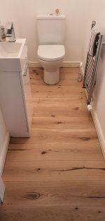Toilet Distressed Oak Flooring Aug 2023