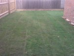 Townhouse Grass Fitted