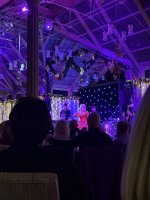 View_a_holly_dolly_christmas_kilworth_house_nov_2025