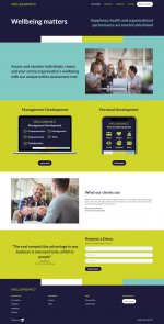 Wellonomics - Our Solution